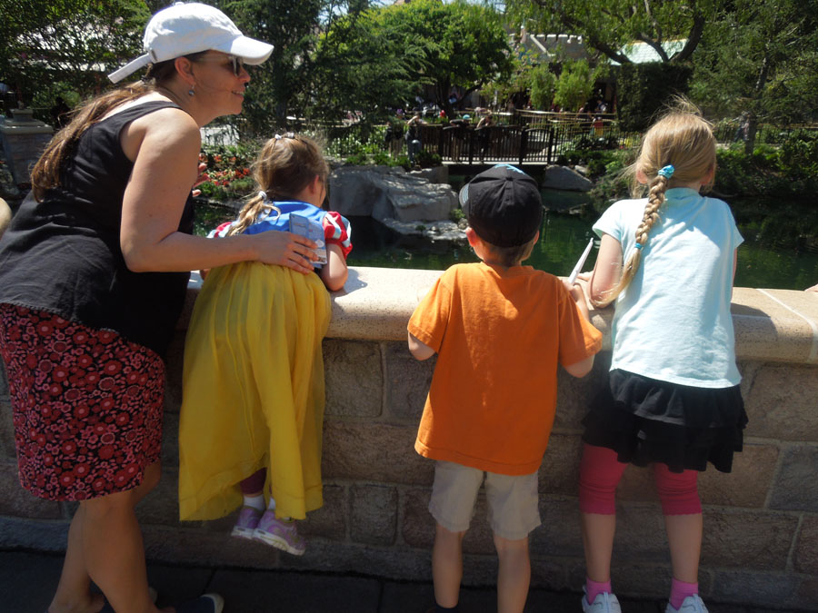 Disneyland Castle Picture
